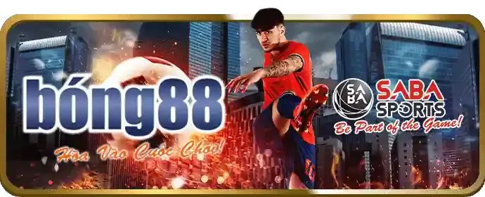 Hỗ trợ trực tuyến 24/7 của YSB66