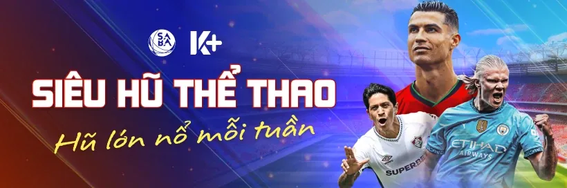 Hoàn trả hàng ngày ysb66